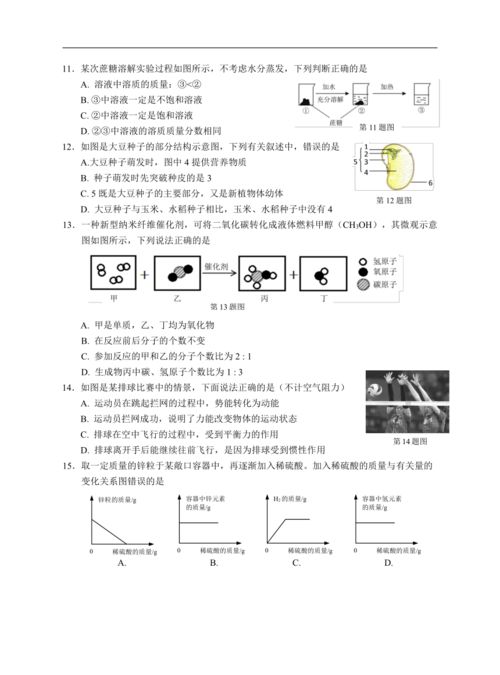 浙江省金華市開發學校2022學年第二學期九年級調研測試 科學試題卷 含答案